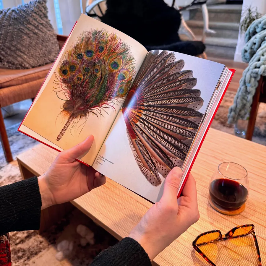 Hands holding Only Fans open to a spread of feather fans.